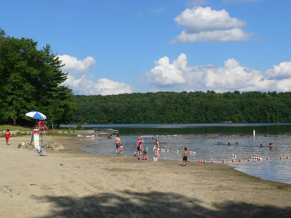 Families swimming and relaxing on the sandy beach at Ashland State Park reservoir in Ashland, Massachusetts on a sunny summer day, with calm water and a wooded shoreline under a bright blue sky